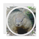 Groundhog Invitation