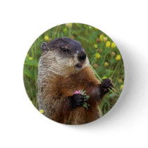 Groundhog Pose Button - Closer