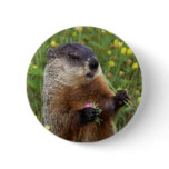 Groundhog Pose Button - Closer