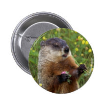 Groundhog Pose Button - Closer