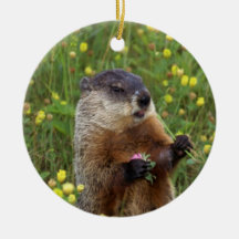 Groundhog Pose Christmas Tree Ornament