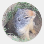 Groundhog stickers
