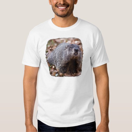 groundhog t shirts