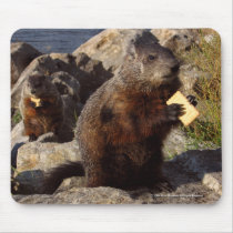Groundhog With Crackers mousepads