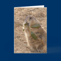 Groundhog's Day cards