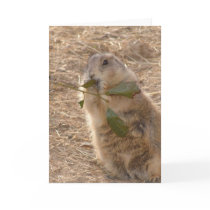 Groundhog's Day Card