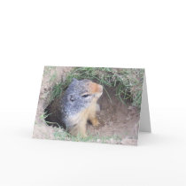 Groundhogs Day card