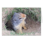 Groundhogs Day card