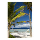 exotic, palm tree, no people, nature, south