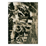 Group of boys feeding calves cards