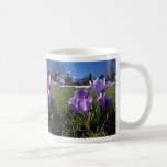 Group of crocuses  flowers mugs