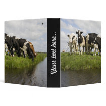 Group of Friesian cows 3 Ring Binders