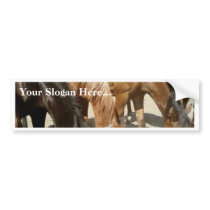 Group Of Horses bumper stickers