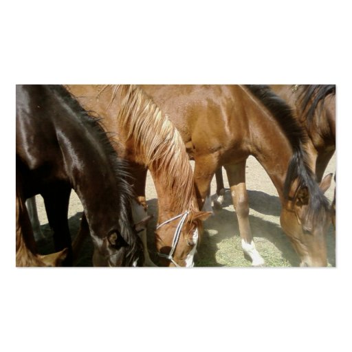 Group Of Horses Business Card Template (back side)