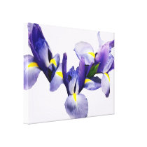 Group of Japanese Irises canvas prints
