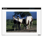 Group of Paint Horses Skin For 15" Laptop