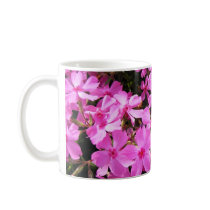 Group of Pink Phlox mugs