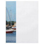 Group of Sailboats Newport RI flyers
