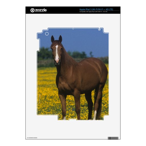 Group of Thoroughbred Horses iPad 3 Skins