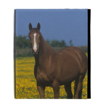 Group of Thoroughbred Horses iPad Folio Cases