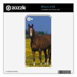 Group of Thoroughbred Horses iPhone 4S Decal