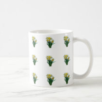 Group of White Daffodils mugs