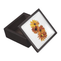 Group of Yellow Gerbera Daisies premium gift boxes