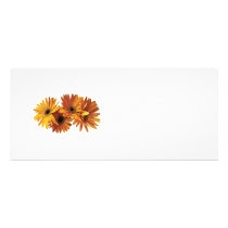 Group of Yellow Gerbera Daisies rack cards