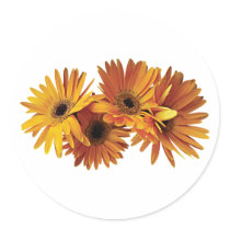 Group of Yellow Gerbera Daisies stickers