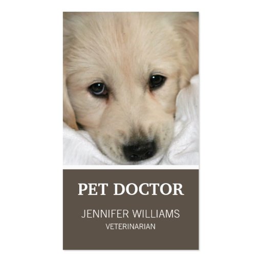 Groupon Dog Doctor Business Card (front side)