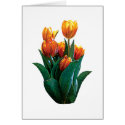 GroupOrangeTulips card