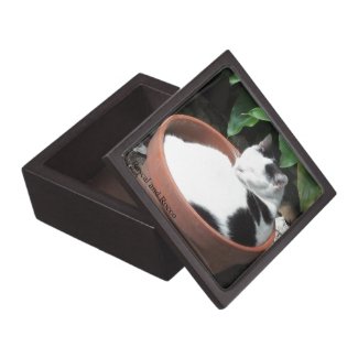 Grow a Cat Wooden Box Premium Keepsake Box