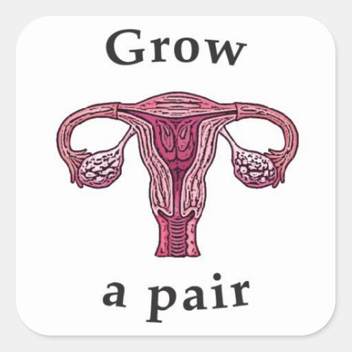 Grow A Pair Of Ovaries Square Sticker Zazzle 