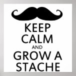 Grow a Stache Print