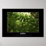 GROW Motivational Forest Floor Poster