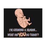 Growing A Human Maternity postcards