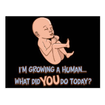 Growing A Human Maternity Postcards