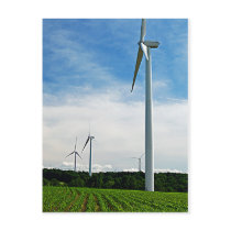 Growing Corn and Windmills Postcard by nedell Growing Corn and Windmills Postcard