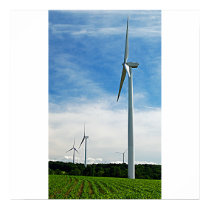 Growing Corn and Windmills Poster/Print