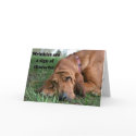 Growing older Birthday card by deemac1 Growing older Birthday card