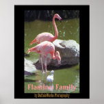 Growing Up Flamingo Poster