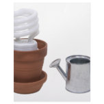 GrowingGreenClayPot062709 Customized Letterhead