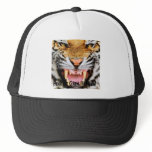 Growl Snarl, Hear Me Growl!!!! Meow! hats