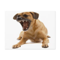 Growling dog postcard by journeyoftheanimals Growling dog postcard