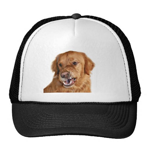 golden retriever growling growling golden retriever hat zazzle golden retriever growling growling golden retriever hat zazzle