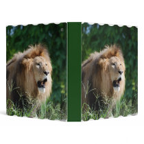 Growling Lion Binder