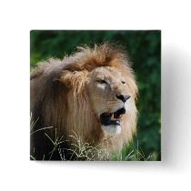 Growling Lion Button