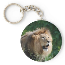 Growling Lion Keychain