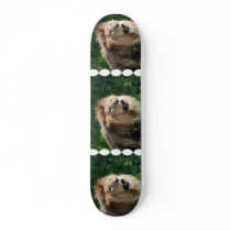 Growling Lion Skateboard