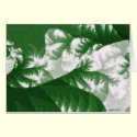 Growth 1 - Fractal Art cards by AbstractFractalArt Growth 1 - Fractal Art cards
